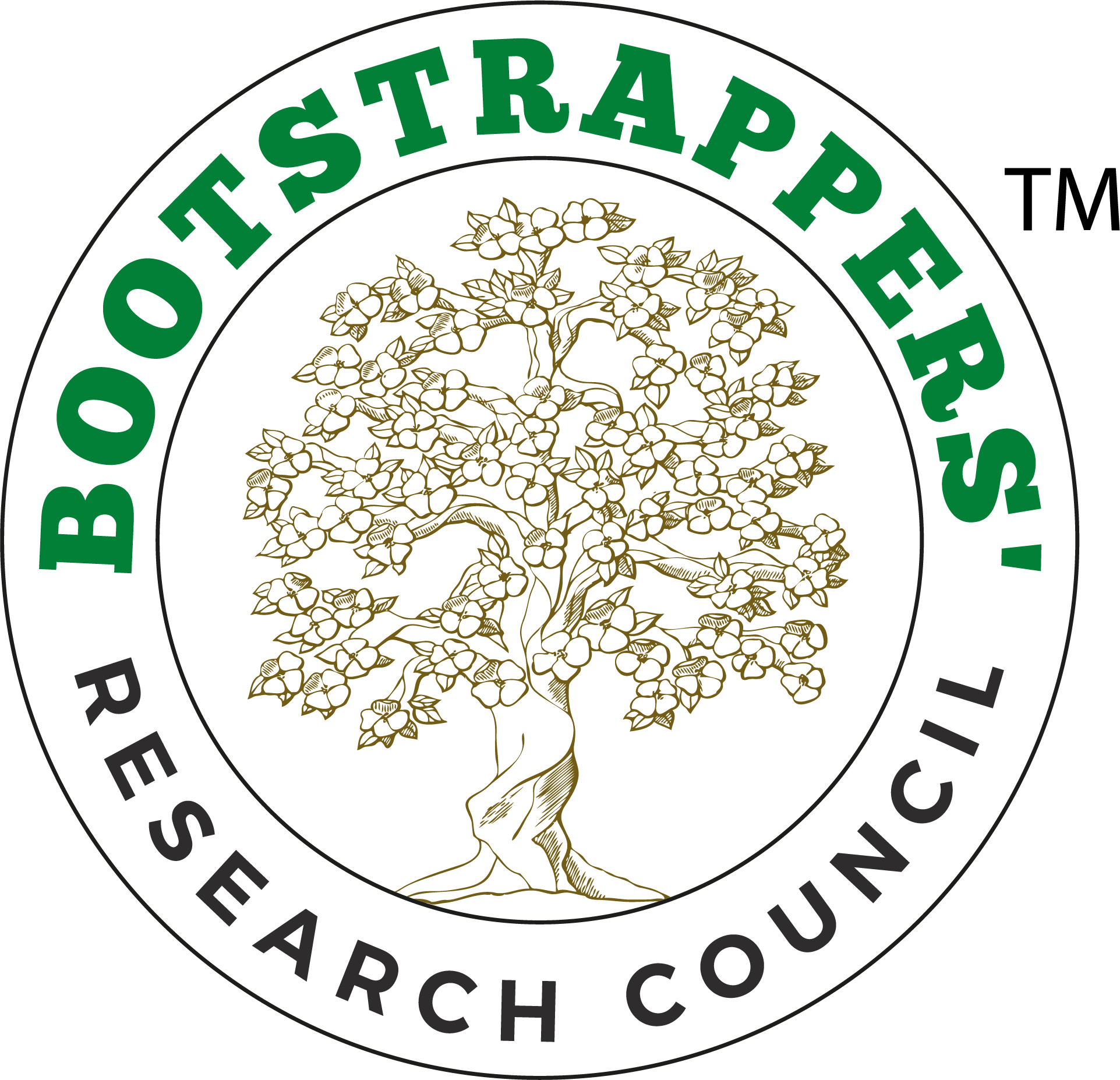 /partner-incubator/SRM Chennai - Bootstrappers.png