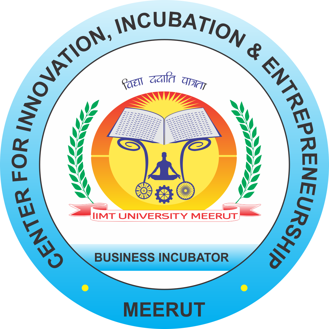 /partner-incubator/IIMT Business Incubator Foundation.png